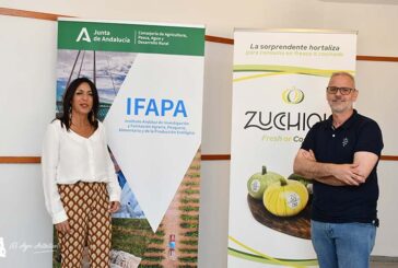Se presenta en el Ifapa una nueva categoría de hortaliza: Zucchiolo