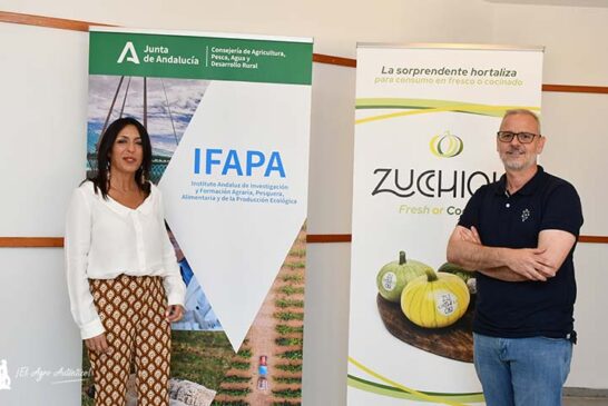 Se presenta en el Ifapa una nueva categoría de hortaliza: Zucchiolo