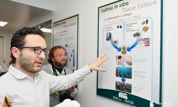 José Luis Couselo, responsable de biología celular de Semillas Fitó / agroautentico.com