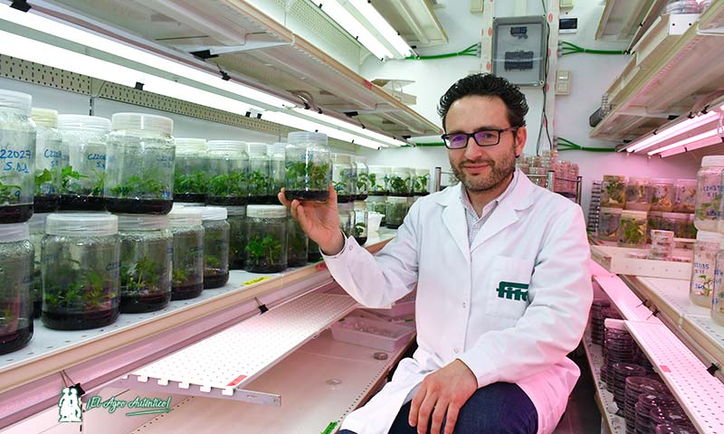 José Luis Couselo, científico de Semillas Fitó / agroautentico.com