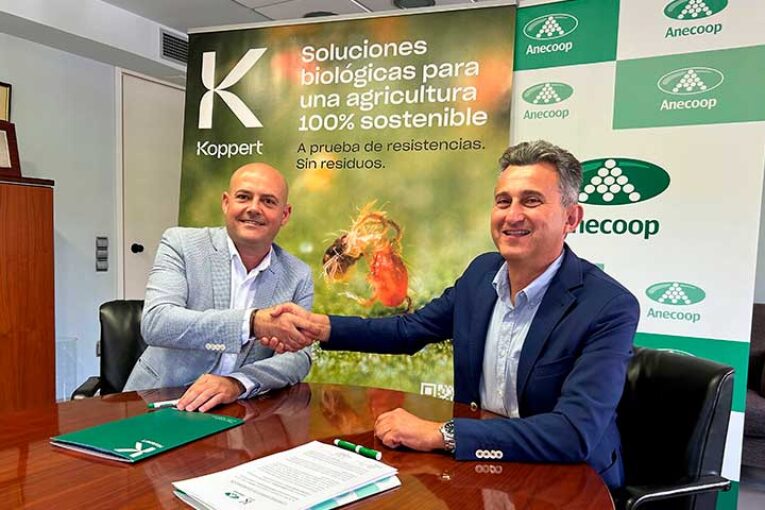 Anecoop y Koppert se alían para impulsar el control biológico en cítricos y caquis