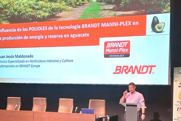 Brandt aplica tecnología Manni-Plex para mejorar la floración en aguacate