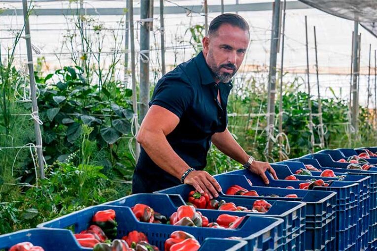Campojoyma compra 30 hectáreas en Águilas para ampliar su oferta de pimiento bio