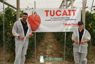 Harmoniz promociona su primer tomate pera para Almería