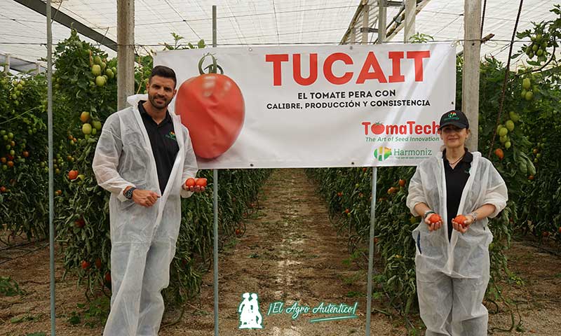 Javier Oliver y María José Flores de Tomatech con el tomate pera Tucait / agroautentico.com