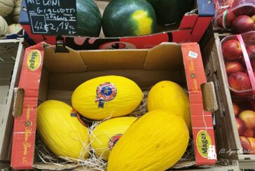 El melón amarillo de Magar gana protagonismo en Italia