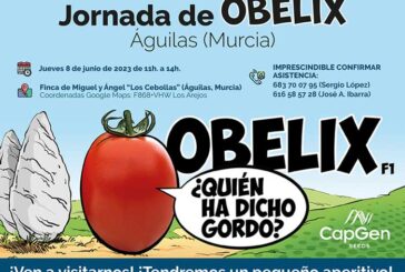 Día 8 de junio. Jornada de tomate Obelix en Águilas
