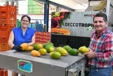 La primera línea de confección de papaya de Almería está en Roquetas