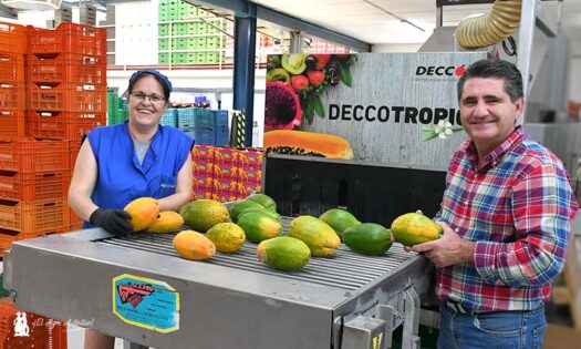 Amparo Rodríguez y José Miguel López en la línea de confección del programa de papaya de Almería / agroautentico.com