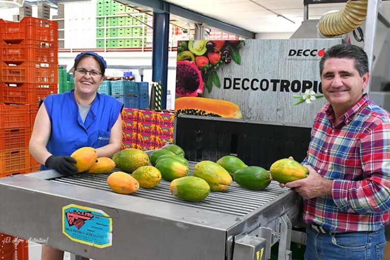 La primera línea de confección de papaya de Almería está en Roquetas