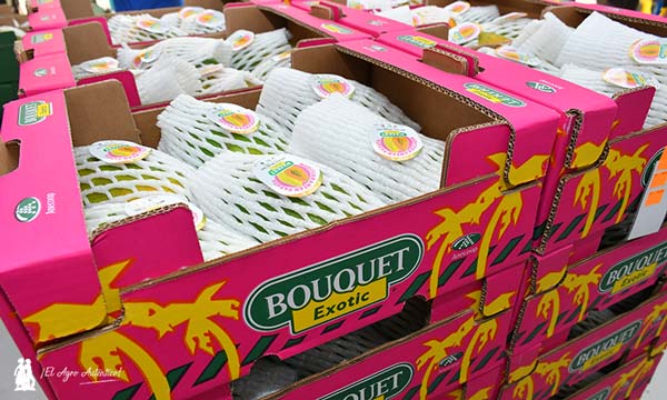 Papaya de Anecoop marca Bouquet / agroautentico.com