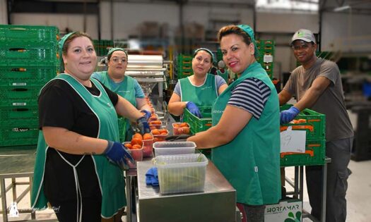 Línea de confección de tomate de Hortamar para Mercadona / agroautentico.com