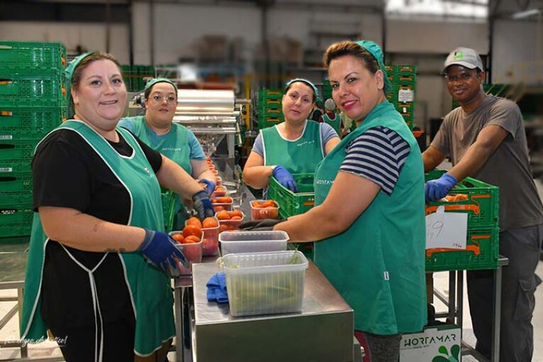 Hortamar consigue un programa de tomate con Mercadona