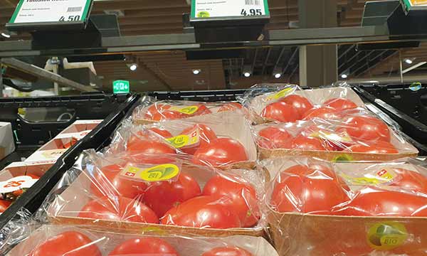 Tomates ecológicos de origen suizo (productores locales) / agroautentico.com