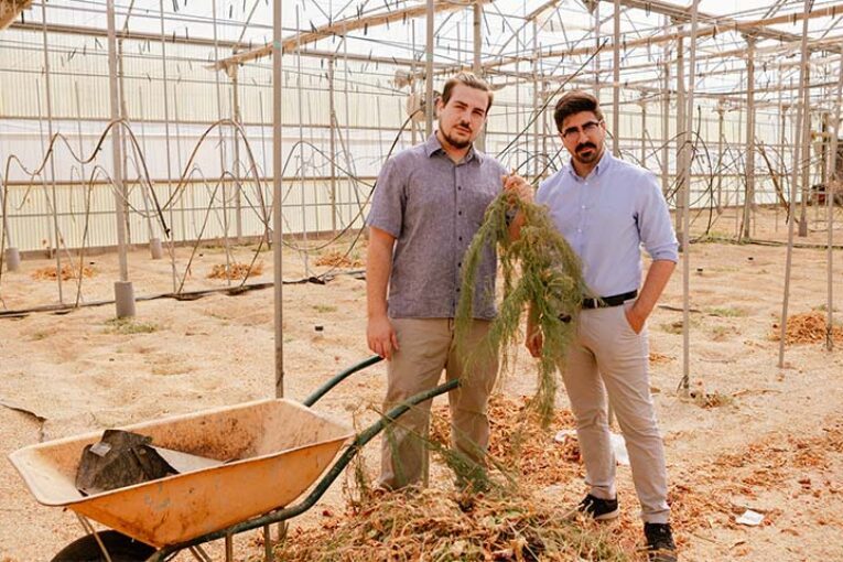 ‘Southern Biorefinery’ transforma los rastrojos de la agricultura en bioplásticos