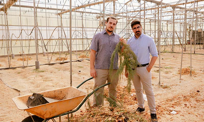 ‘Southern Biorefinery’ transforma los rastrojos de la agricultura en bioplásticos