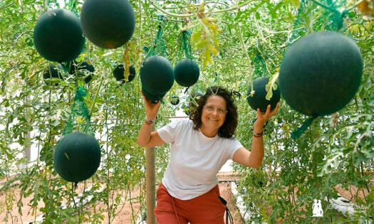Ana Rubio con sandía entutorada CandyBall de Rijk Zwaan / agroautentico.com