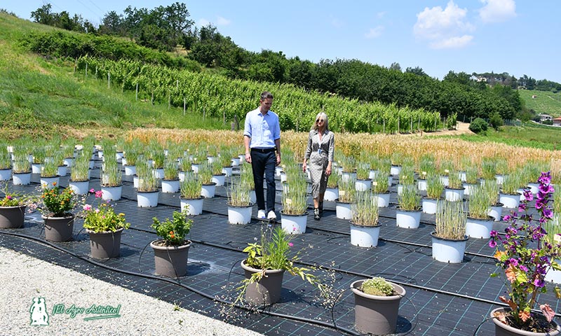 El Greenhas Research Center está conformado por tres grandes laboratorios, un invernadero experimental para ensayos de nuevos fertilizantes y sobre todo de bioestimulantes y un área a cielo abierto para también ensayar en condiciones de aire libre.