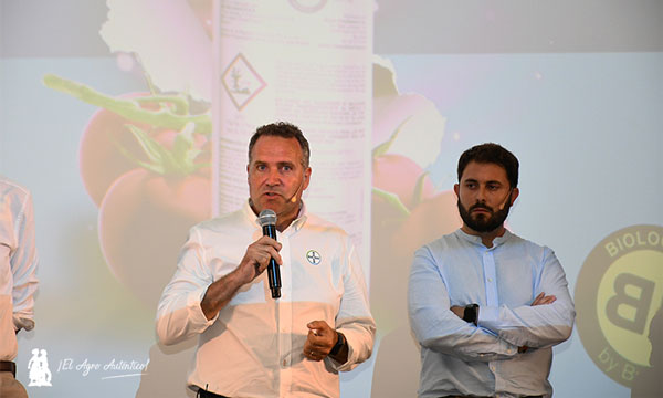 La confusión sexual, eje principal de la herramienta VYNYTY® Tuta Press de Bayer para la gestión de plagas en el cultivo del tomate-noticias-agroautentico.com