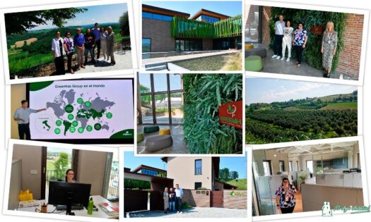 Greenhas Group / agroautentico.com