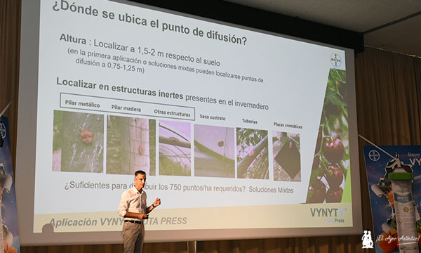 La confusión sexual, eje principal de la herramienta VYNYTY® Tuta Press de Bayer para la gestión de plagas en el cultivo del tomate-noticias-agroautentico.com