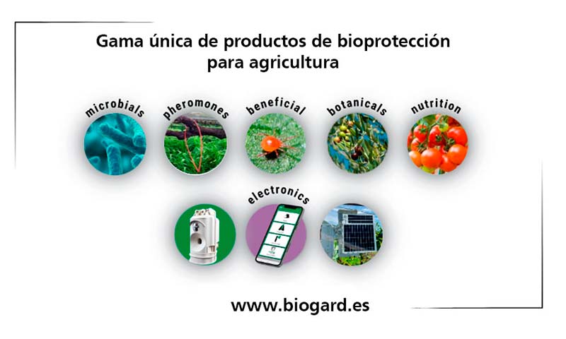 Los insectos auxiliares de Bioplanet se unen al grupo CBC (división Biogard)-noticias-agroautentico.com