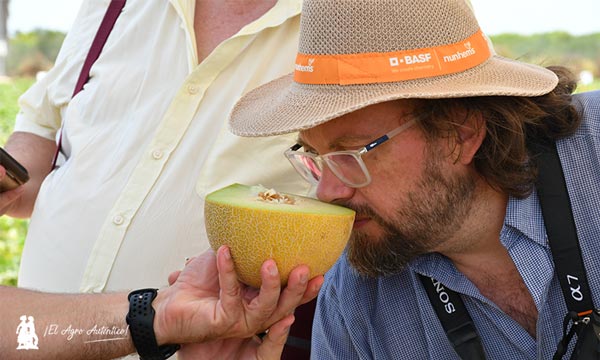 Aroma en el melón galia. José Antonio Arcos con Galkia de Nunhems / agroautentico.com