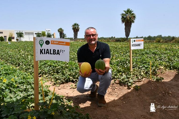 BASF impulsa con Gregal, Fruca, Jimbo Fresh y Agrícola Famosa el proyecto Galkia