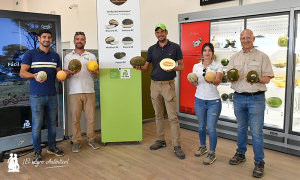 Melon Ciclope y otras variedades. Global Melon & Watermelon Event 2023 de Rijk Zwaan en Cartagena / agroautentico.com