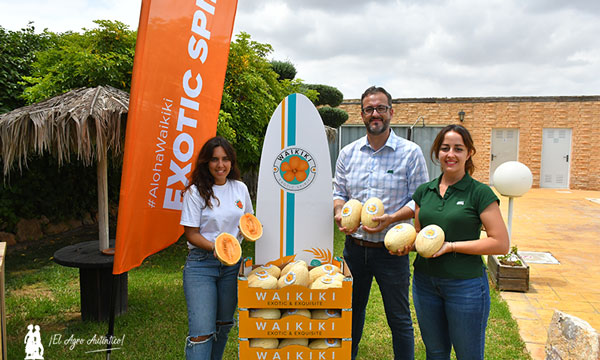 Neus Fernando, Vasco Vital e Inma Duarte de Fitó con el melón Waikiki / agroautentico.com
