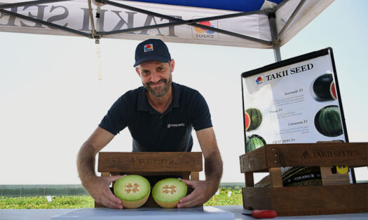 Nacho Suárez con la variedad de melón Durero en el campo de Cartagena, Murcia / agroautentico.com