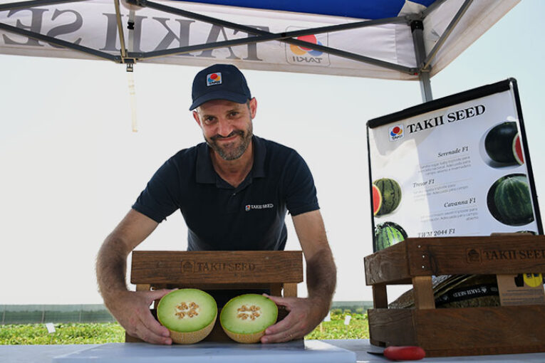 Takii propone galias tradicionales para recuperar mercado