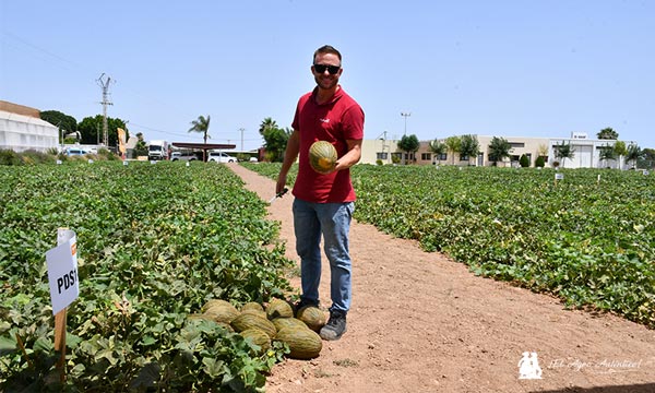 José Ramón Naranjo con el melón piel de sapo PDS152 / agroautentico.com