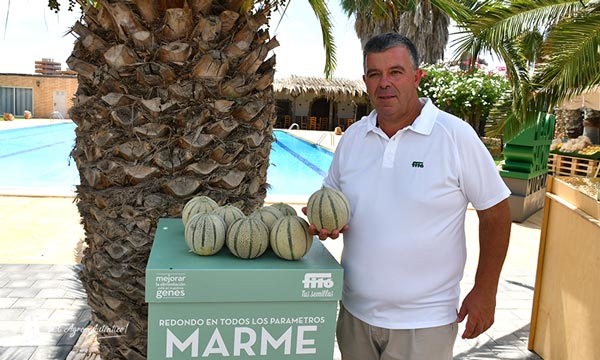 Nicolás Sánchez, técnico comercial de Fitó en Murcia, con melón Marme / agroautentico.com