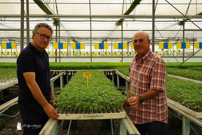 Vegtrace pone en orden la trazabilidad de la semilla