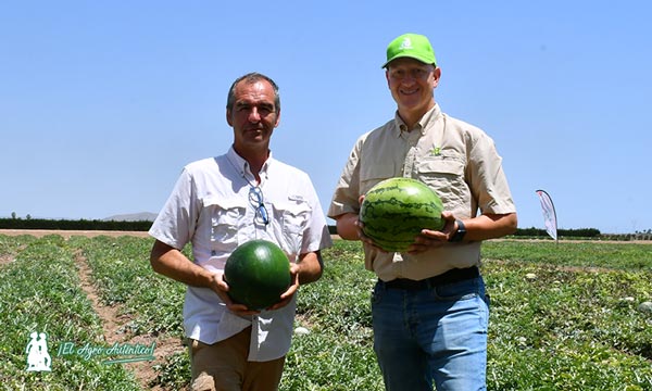 Carlos Gil-Albert, mejorador de sandía, y Juan Francisco Martínez, especialista de melón en el CED del campo de Cartagena / agroautentico.com