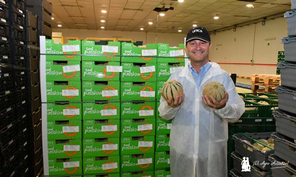 Javier Pardo, gerente de Cota 120. El melón cantaloup es una de sus principales referencias en verano / agroautentico.com