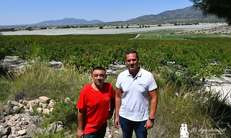 José Espinosa, Don Ciro, con Juanjo Alarcón, Plant Health Care / agroautentico.com