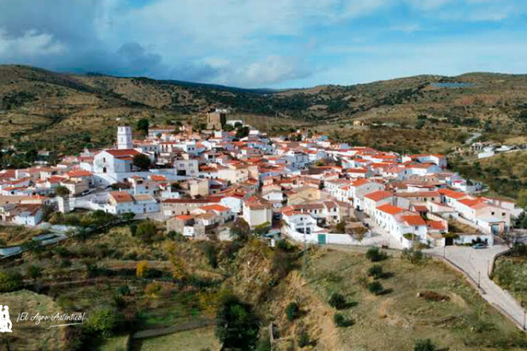 Vellsam patrocina un curso de verano sobre historia ambiental y patrimonio