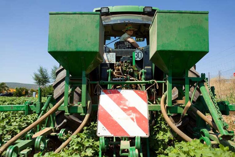 1.141 jóvenes agricultores y ganaderos se incorporan a la actividad en Andalucía