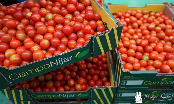 CampoNíjar marca de tomate cherry / agroautentico.com