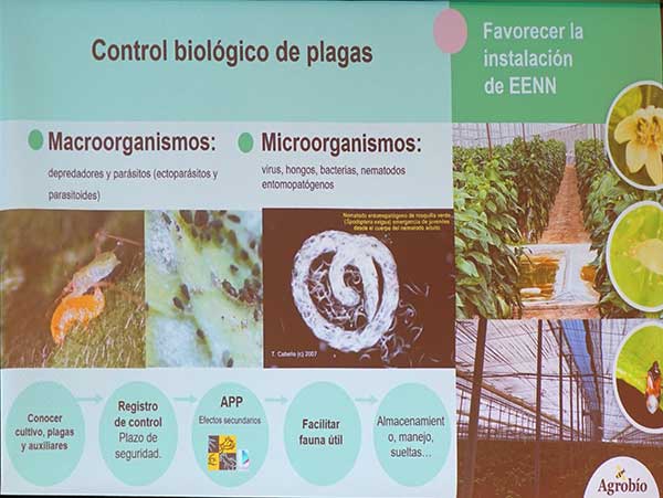 Control biológico de plagas con macroorganismos y microorganismos / agroautentico.com