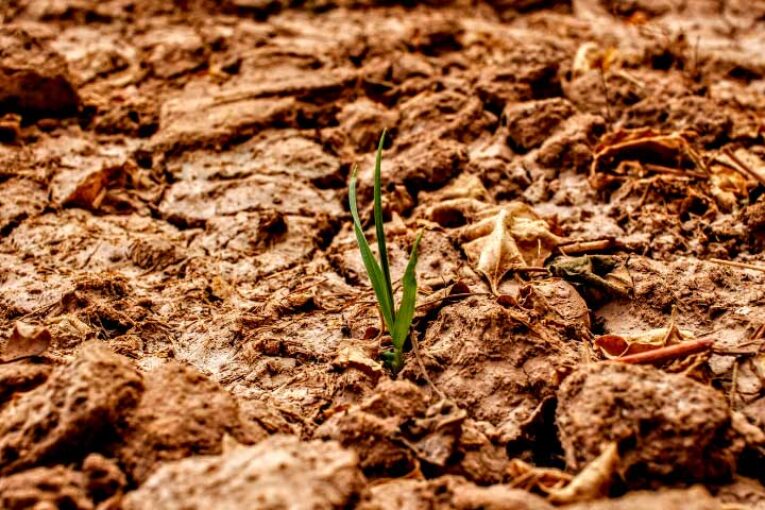El fenómeno de 'El niño' amenaza la agricultura