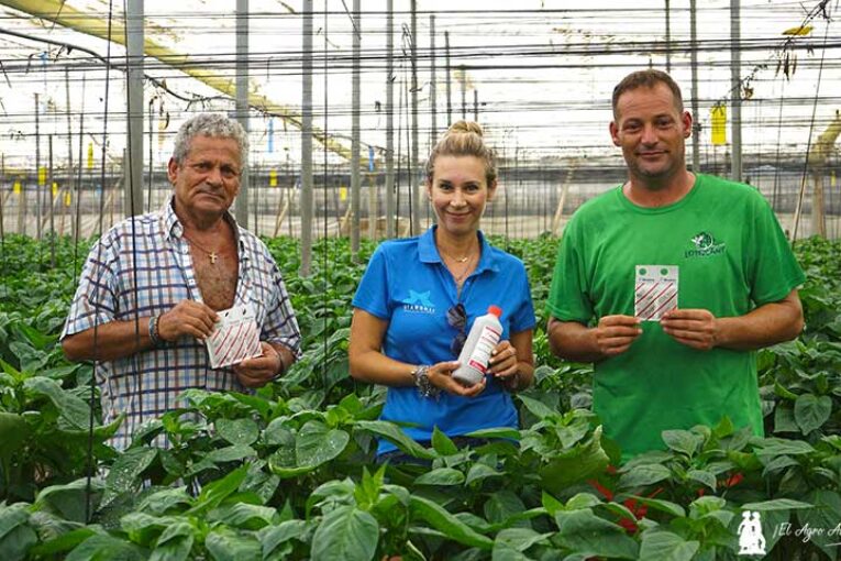 Bioline refuerza la estrategia biológica frente a araña roja en un contexto sin materias activas