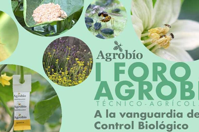 Día 10 de agosto. I Foro de Agrobío en El Ejido