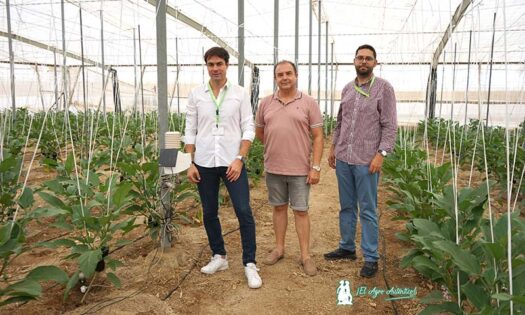 José Antonio López, Juan Enrique Jiménez y Luis Calero junto al equipo de sensórica de esta finca / agroautentico.com