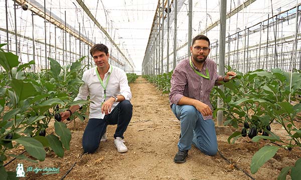 José Antonio López y Luis Calero, Unica Group / agroautentico.com
