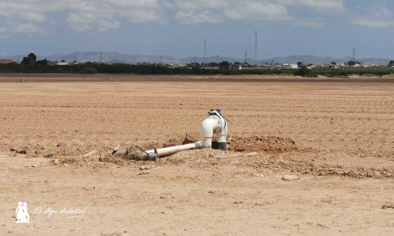 Agua y más costes: empobrecimiento del agricultor murciano