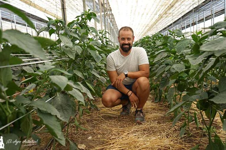 Agricultores que obtienen sus propios abonos