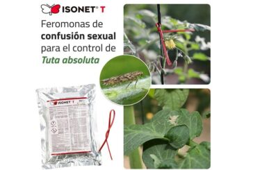 Isonet® T, Confusión sexual para el control de Tuta absoluta